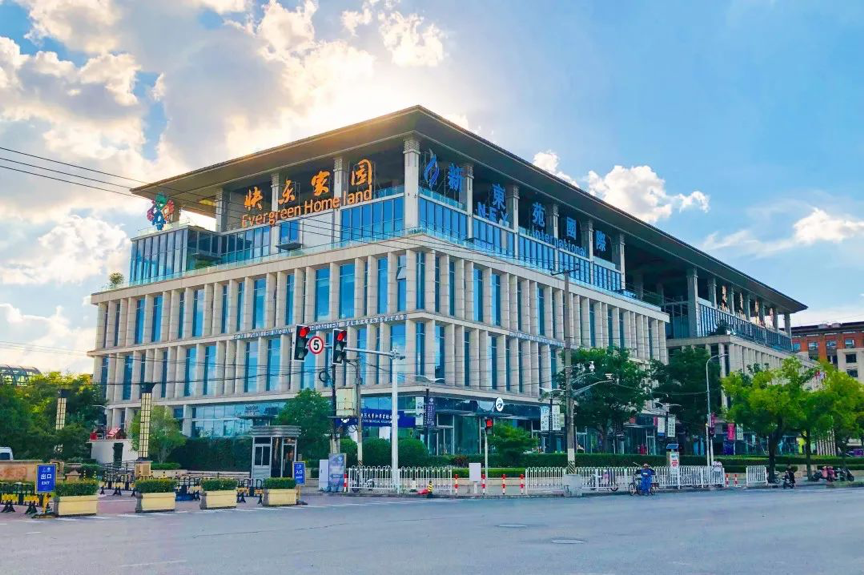 新东苑集团：见证亚洲品牌崛起的力量(图7)