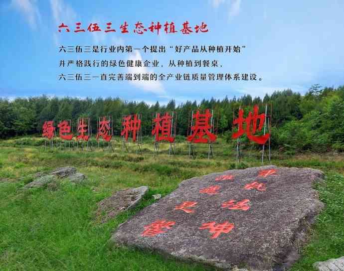 以价值敬岁月 | 六三伍三：进击，是为了更好的引领(图4)