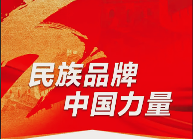 王建功：谈谈民族品牌(图5)